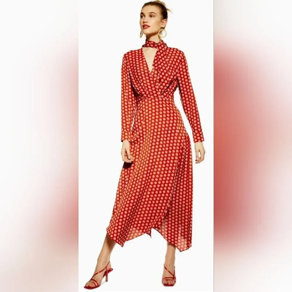 NWOT TOPSHOP Size 6 Horse Coin Midi Dress Long Sleeve V-neck with Ribbon Tie